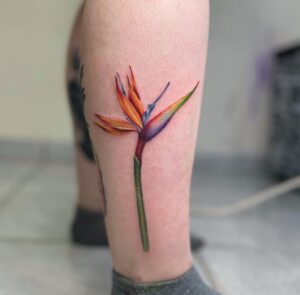 קעקוע של פרח גן עדן צבעוני ביצוע של בוגרת קורס קעקועים מקיף של TATTOOTLV