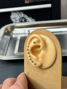 אוזן מעור מזויף מחוררת