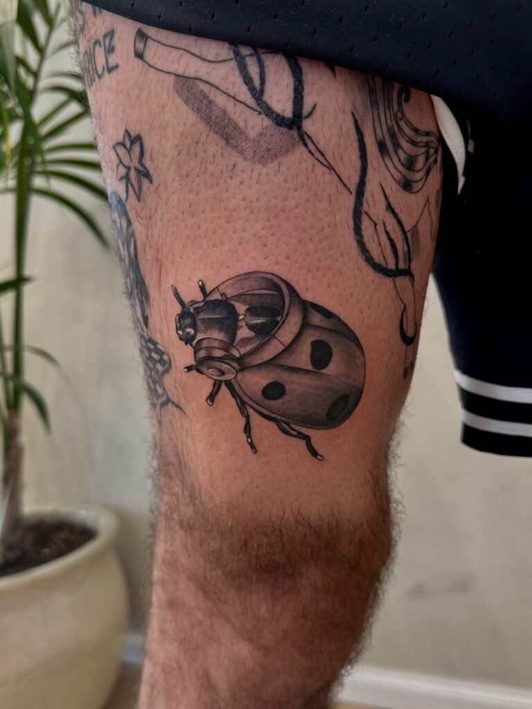 שחף ארט Shahaf Art קעקועים