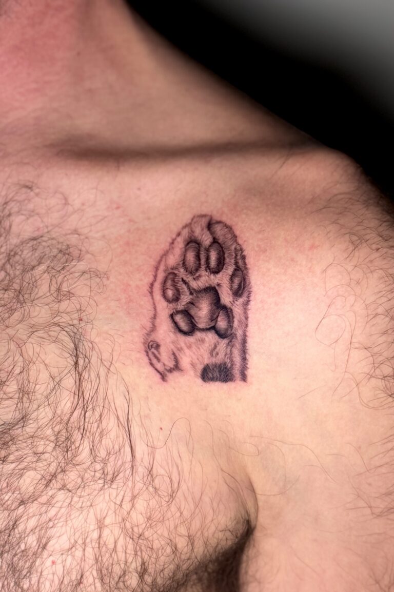 אלמוג טל - Mogiz Tattoo