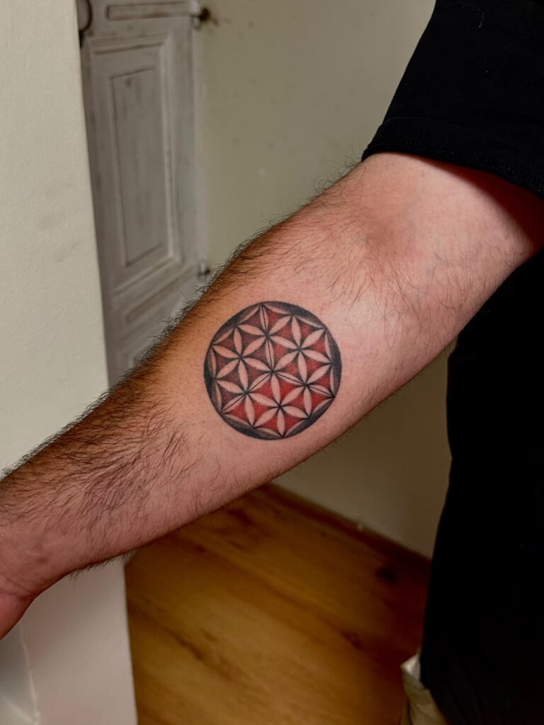 שחף ארט Shahaf Art קעקועים