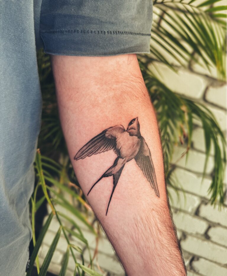 ציפור סנונית קלאסית בסגנון ריאליסטי