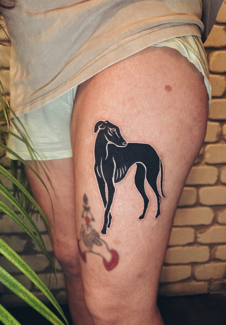 כלב רוח על ירך בסגנון בלאק עם עיטור לבן