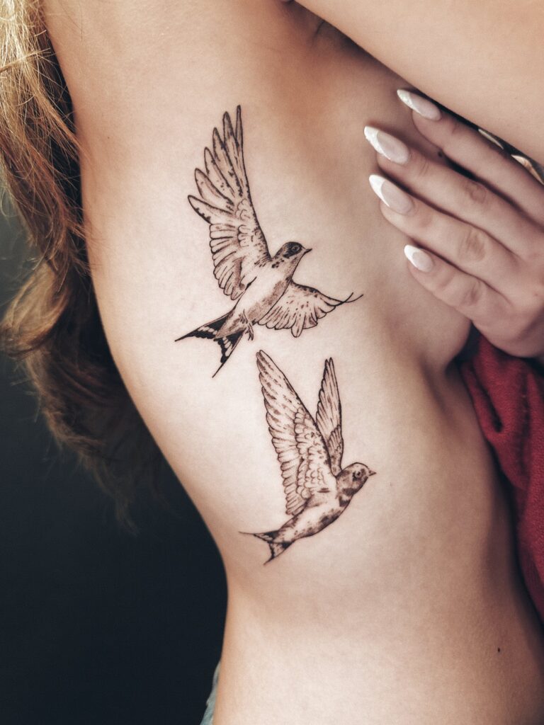 ציפורים על הצלעות בסגנון איורי