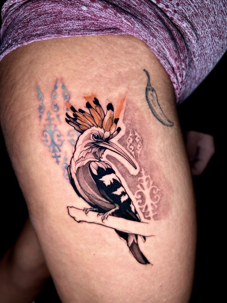 אולטראס טאטו